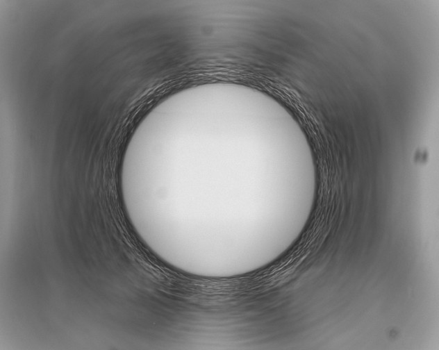 X0000096490705200801241210