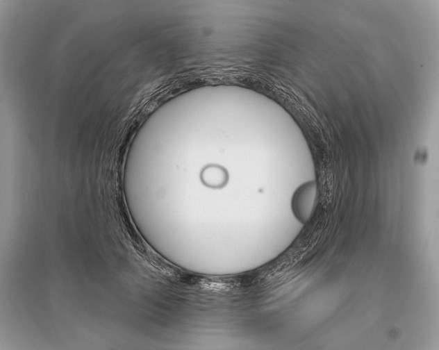 X0000096490706200801241210