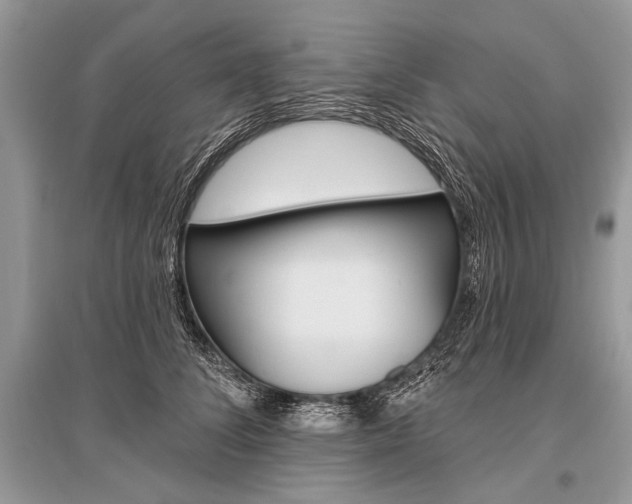X0000096490708200801241210