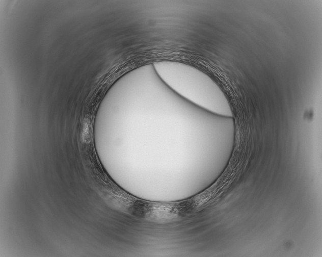 X0000096490709200801241210