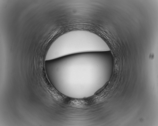X0000096490712200801241210