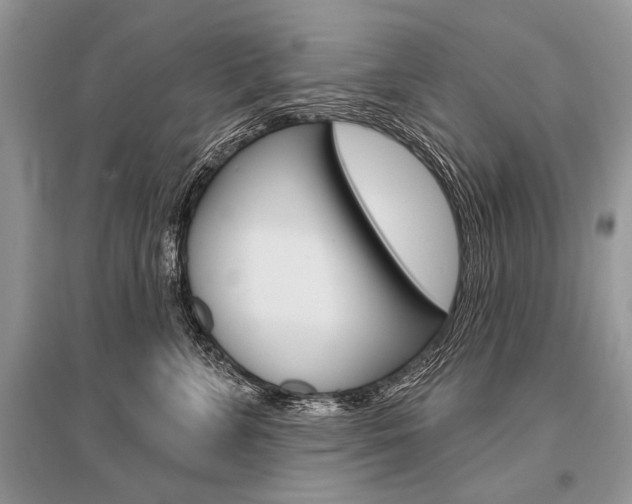 X0000096490715200801241210