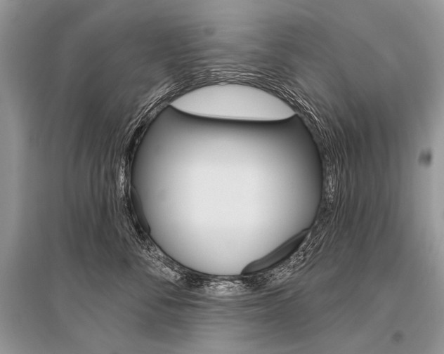 X0000096490716200801241210