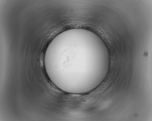 X0000096490719200801241210