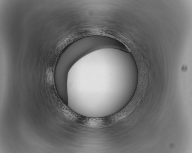 X0000096490720200801241210