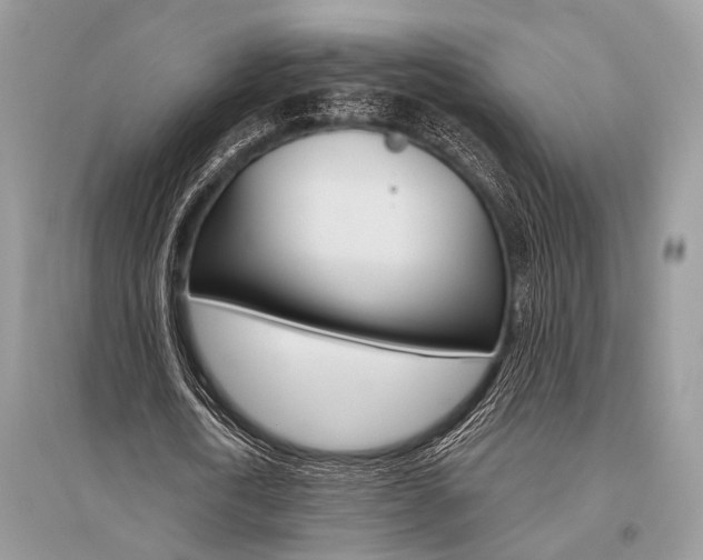 X0000096490722200801241210
