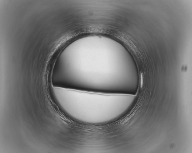 X0000096490723200801241210