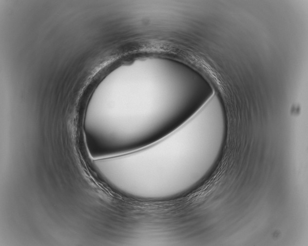 X0000096490724200801241210