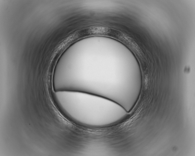 X0000096490725200801241210