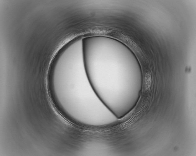 X0000096490726200801241210