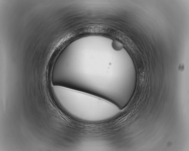 X0000096490727200801241210