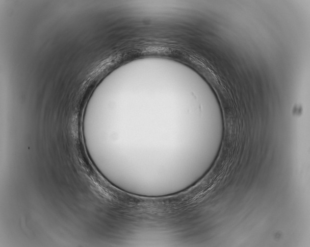 X0000096490729200801241210