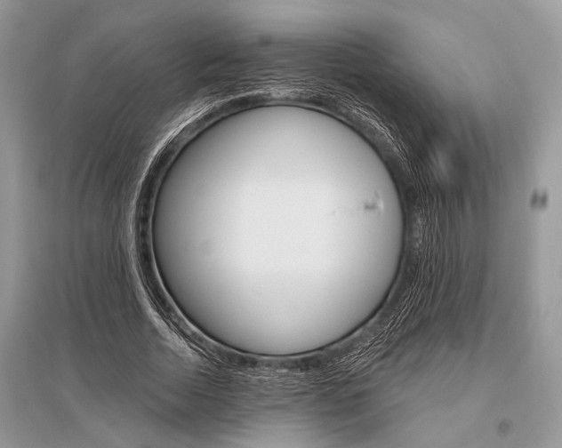 X0000096490730200801241210