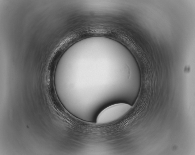 X0000096490731200801241210