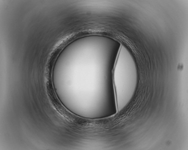 X0000096490732200801241210