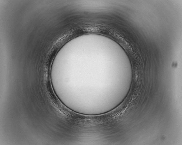 X0000096490733200801241210
