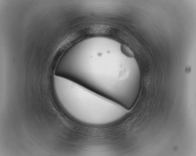 X0000096490735200801241210