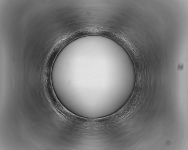 X0000096490736200801241210