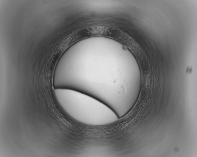X0000096490737200801241210