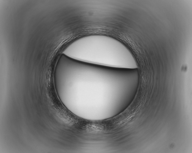 X0000096490739200801241210
