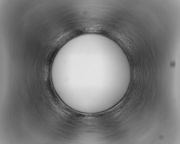 X0000096490741200801241210