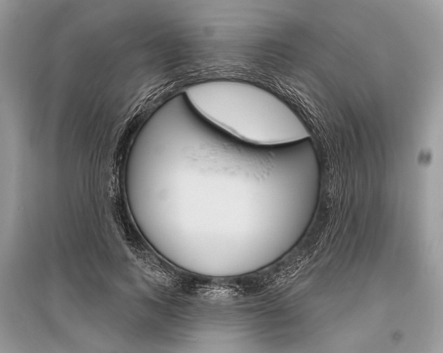 X0000096490743200801241210