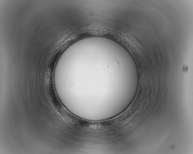 X0000096490744200801241210