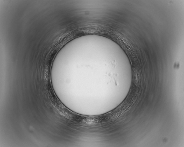 X0000096490745200801241210
