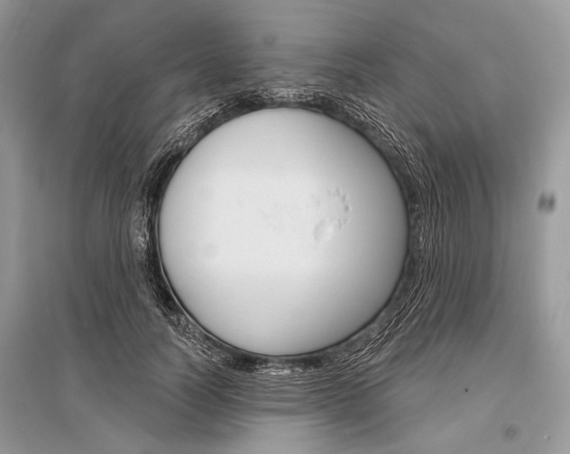 X0000096490746200801241210