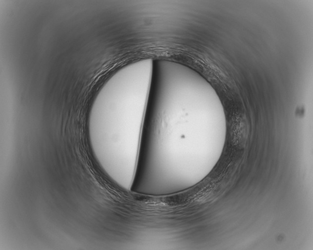 X0000096490747200801241210