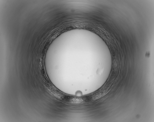 X0000096490749200801241210