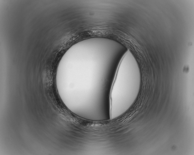 X0000096490751200801241210