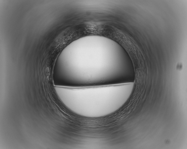 X0000096490752200801241210