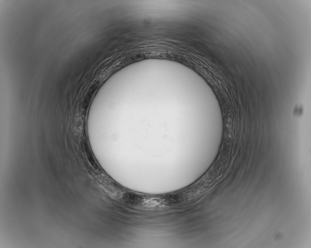 X0000096490753200801241210