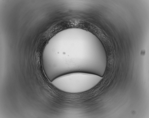 X0000096490754200801241210