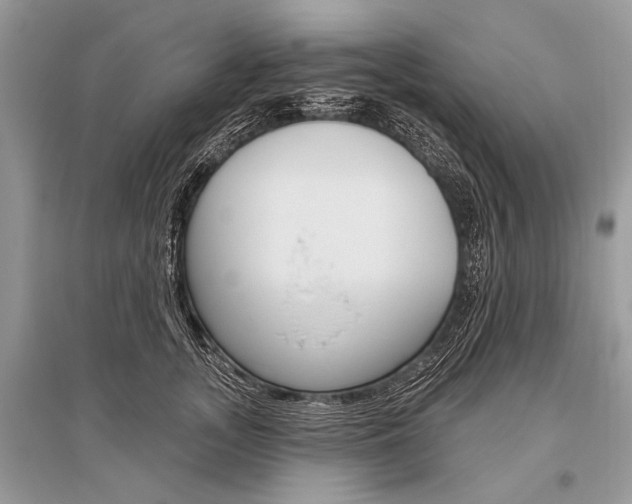 X0000096490755200801241210
