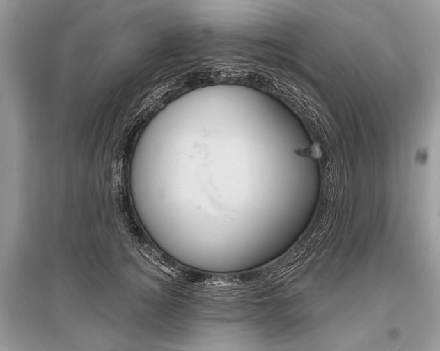 X0000096490756200801241210