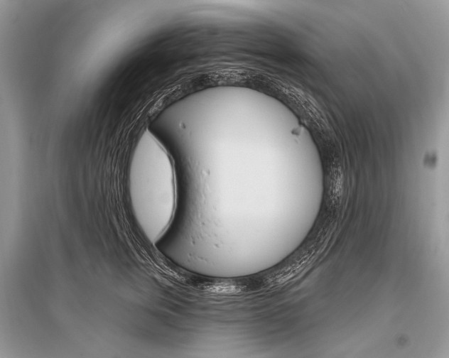 X0000096490759200801241210