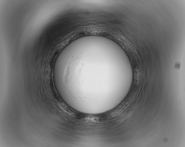 X0000096490760200801241210