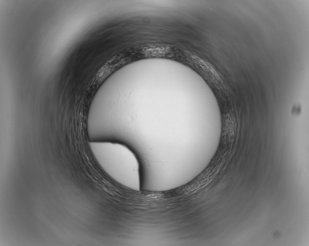 X0000096490761200801241210