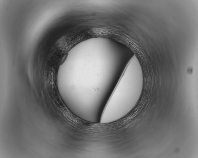 X0000096490762200801241210