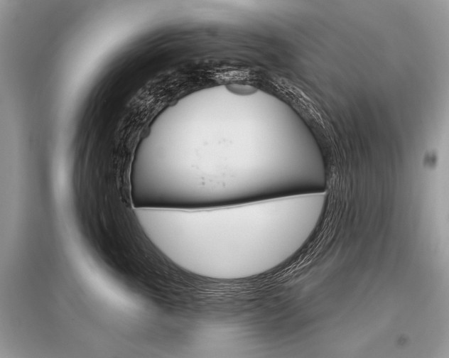 X0000096490763200801241210