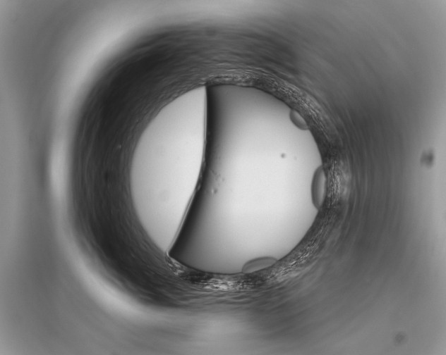 X0000096490764200801241210