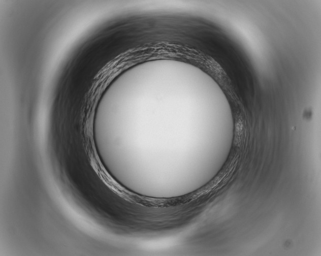 X0000096490765200801241210
