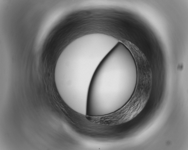X0000096490766200801241210