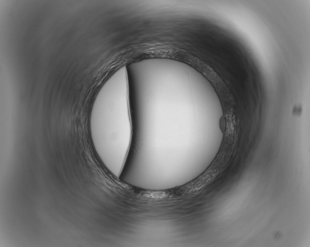 X0000096490767200801241210