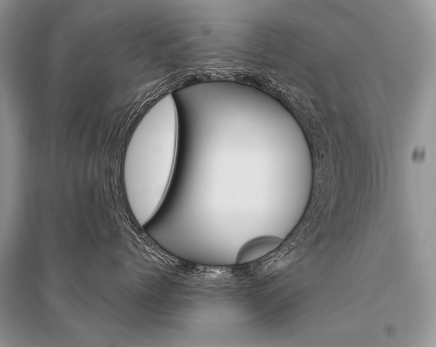 X0000096490768200801241210