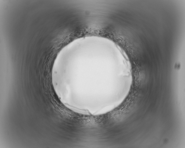 X0000096490769200801241209