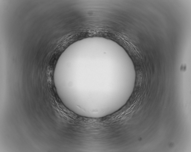 X0000096490770200801241209