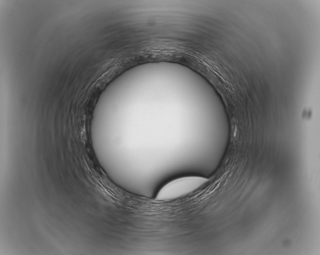 X0000096490771200801241209